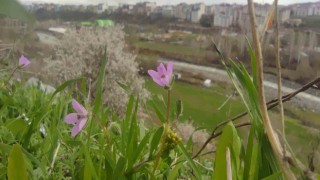 Bingölde bir yanda kara kış bir yanda bahar yaşanıyor