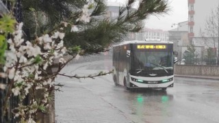 Bingölde kuvvetli sağanak yağış etkili oldu