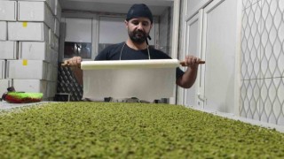 Bingölde tatlıcıların bayram mesaisi başladı
