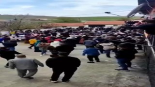 Bir yandan oynadılar, bir yandan kavga ettiler