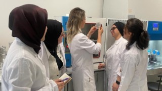 Biyoloji bölümü öğrencilerinin 4 projesi de destek almaya hak kazandı