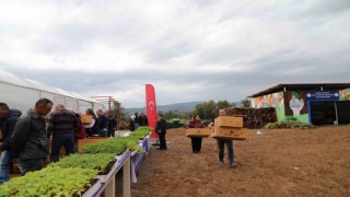 Bodrumda 350 bin fide dağıtıldı