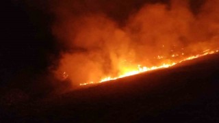 Bodrumda otluk ve makilik arazide yangın