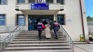 Boluda FETÖ operasyonu: 1 gözaltı