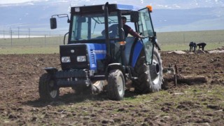 Bulanıkta etkili olan yağışlar çiftçiye umut oldu