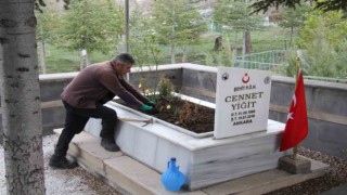 Bünyanda mezarlıklar temizlendi