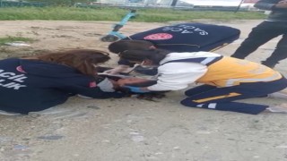Bursada elektrikli scooter süren kız çocuğuna başıboş köpekler saldırdı