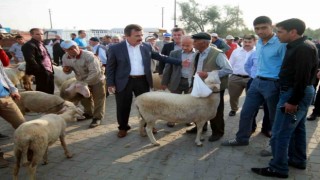 Bursada hayvan pazarları açılıyor