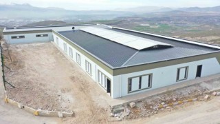 Büyükşehirden Yeni ve Modern Kedi Köpek Evi