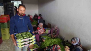 Can eriğinin kilosu 20 ile 100 lira arasında değişiyor