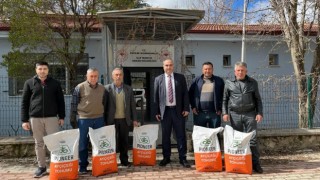 Çiftçilere hibe destekli yağlık ayçiçeği tohumu dağıtıldı