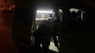 Cinsel saldırıda bulunmaya çalıştığı yaşlı kadını darp etti