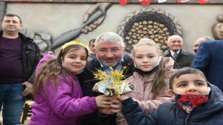 Çorumda çiğdem aşı geleneği yaşatıldı