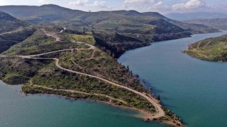 Cumhuriyet tarihinin en büyük yangından sonra griden yeşile dönüş