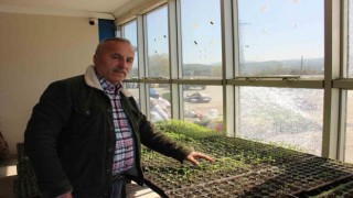 Dedesinden kalma altın değerindeki ata tohumlarını gelecek nesillere aktarıyor