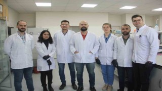 Deniz salyangozundan kanser ilacı adayları ürettiler