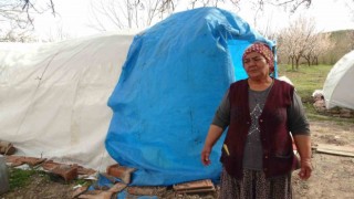 Depremde evi yıkılan Zehra teyzenin umudu ‘kayısı