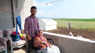 Depremzede ailenin sığındıkları köydeki evlerine elektrik çektirme mücadelesi
