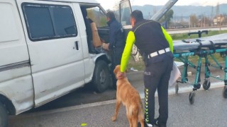 Direğe çarpan aracın içinde sıkışan sürücüyü köpeği yalnız bırakmadı