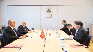 Dışişleri Bakanı Çavuşoğlu, Japon mevkidaşı Hayashi ile görüştü