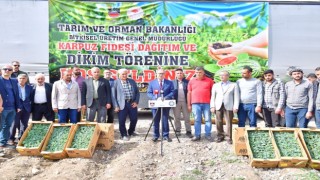 Diyarbakırda 115 bin karpuz fidesi dağıtıldı
