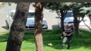 Diyarbakırda husumetlisini öldüren zanlı tutuklandı
