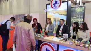 Düzce dünyaya tanıtılıyor