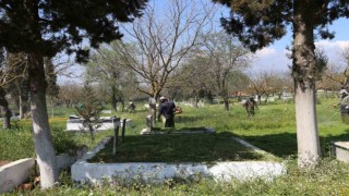 Efelerde mezarlıklar Ramazan Bayramı için hazırlanıyor