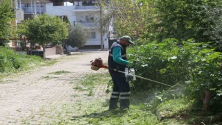 Efelerin ekiplerinden bahar temizliği