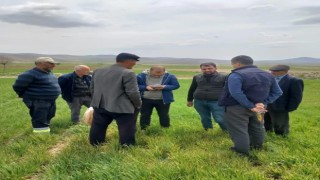 Ekinlerde görülen hastalıklara karşı bilgilendirme toplantısı yapıldı