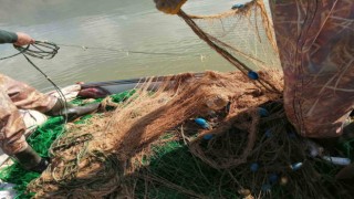 Elazığda kaçak avlandığı tespit edilen 100 kilo canlı balık ele geçirildi