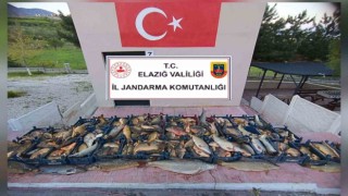 Elazığda kaçak balık avına 16 bin lira ceza