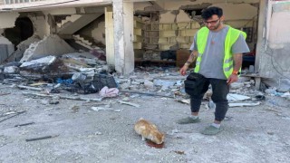 Enkazdan 76 gün sonra Eceviti canlı olarak buldular