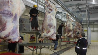 Erzincanda bayram öncesi et satış noktalarında gıda denetimi