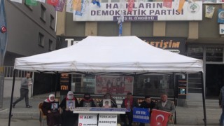 Evladı dağa kaçırılan anne: “Kara bir bayram geçirdik”