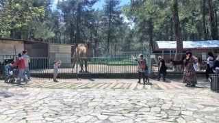 Faciadan dönülen hayvanat bahçesinde önlemler artırıldı