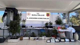 Fethiyede 7 ayrı adrese uyuşturucu operasyonu