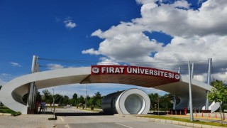 FÜ Doğu ve Güneydoğu Anadolu Bölgesinde 1. sırada