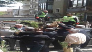 Gençte çiftçilere 7 bin fide dağıtıldı