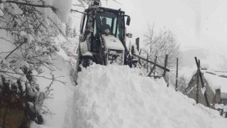 Giresun yaylalarında karla mücadele