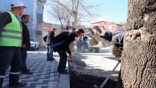 Gölpazarı yüzme havuzuna kavuşuyor