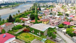 Adana'da Görenlere huzur veren cami bu sene de sarmaşıklarına kavuştu