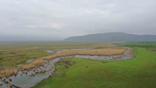 Güroymakta kaçak avcılığa drone ile denetim