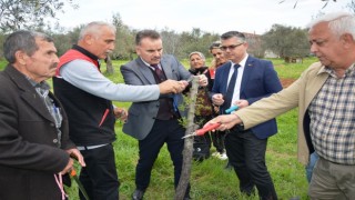 Hacıarslanlar Mahallesinde aşılama teknikleri projesi uygulamalı olarak gerçekleştirildi