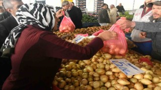 Haymanada kuru soğan 5 lira oldu
