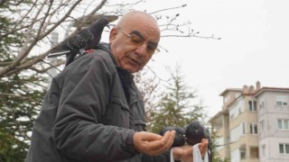 Her gün aynı saatte gelerek güvercinleri elleriyle besliyor
