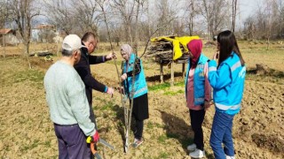 Hisarcıkta çiftçilere meyve ağaçlarında budama teknikleri eğitimi
