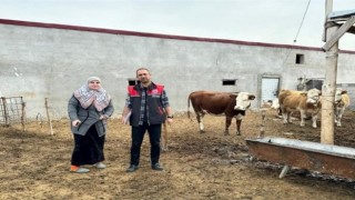 Iğdır'da desteklenen işletmeler denetlendi