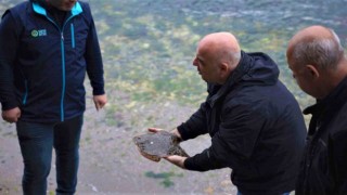 İzmit Körfezinde ağlara çipli kalkan balığı takıldı