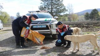 Jandarma ve çocuklardan anlamlı etkinlik
